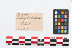 Etikett zu Bronzespitzbogenfibel (NHMW-PRAE-026564)